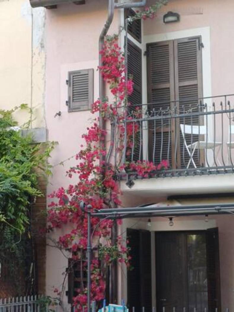 Bouganville House Σενιγκάλια Εξωτερικό φωτογραφία